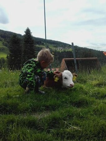 Gotschlhof - Photo4