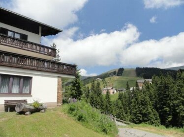 Pension Edelweiss Schonberg-Lachtal
