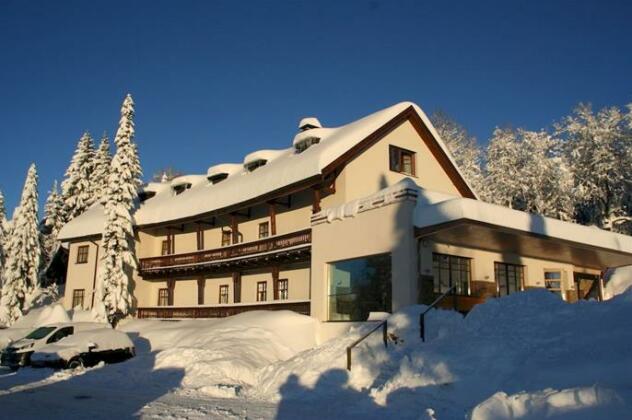 Bodele Alpenhotel - Photo2