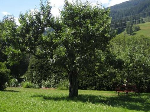 Villa Pranter - Photo5