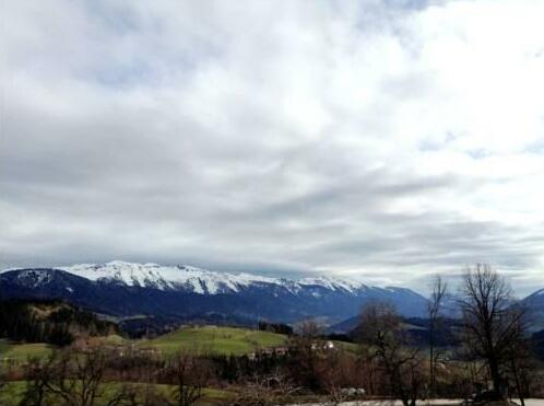 Landhotel Oberwengerhof - Photo3