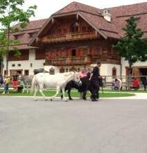 Bauernhof Beim Jedinger Am Irrsee - Photo4