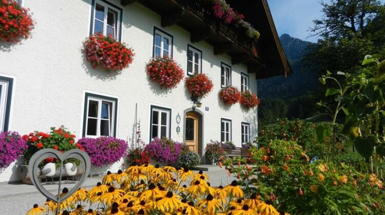 Bauernhof Stadlmannbauer - Photo3