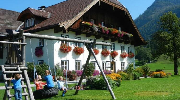 Bauernhof Stadlmannbauer - Photo5
