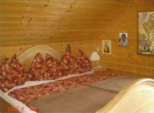 Haus Vucsina - Photo3