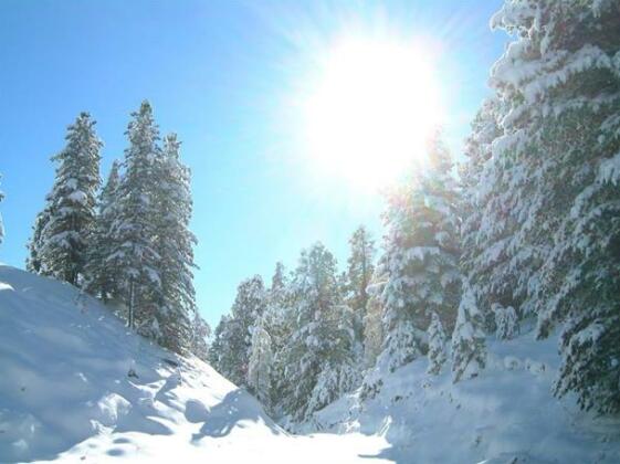 Ritas Alm - Photo5