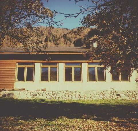Gasthof-Pension Waldruhe - Photo2