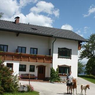 Bauernhof Baby & Kinderhof Mittermair