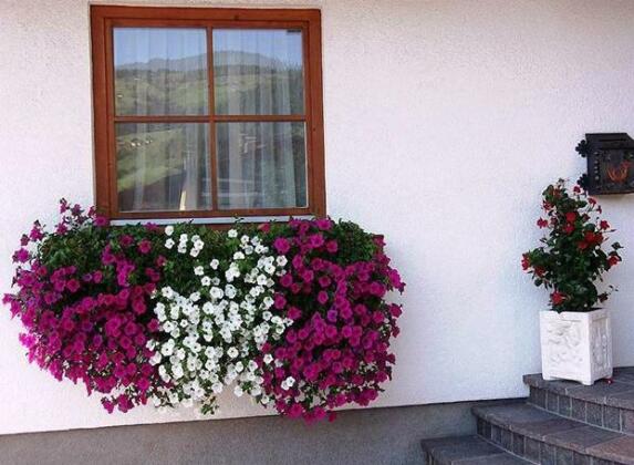 Landhaus Riepler - Photo2