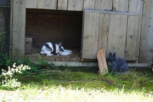 Plankenhof - Photo4