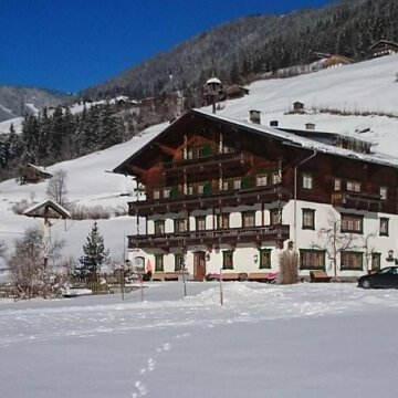 Finkenhof Wald im Pinzgau