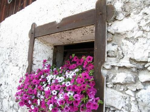 Hoffmann Farmhouse Weissensee - Photo3