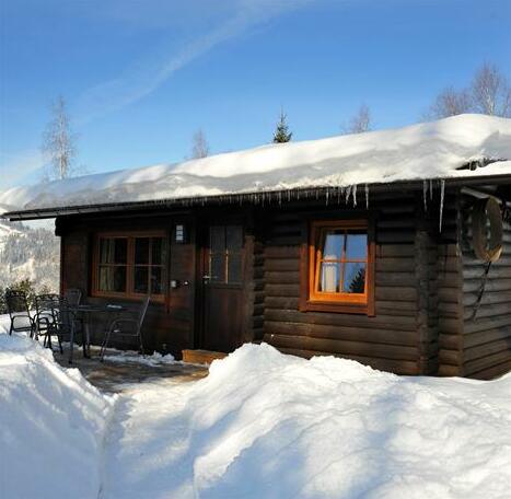 Chalet Chalets Im Brixental V 2