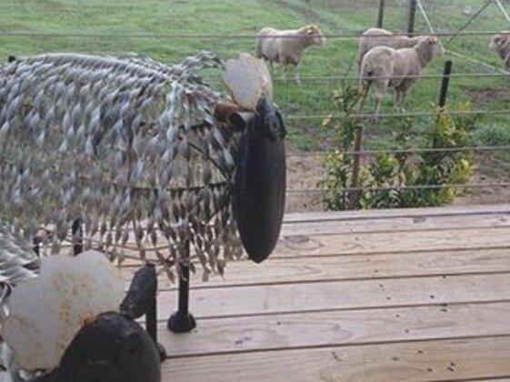 Redwing Farm Stay - Photo3