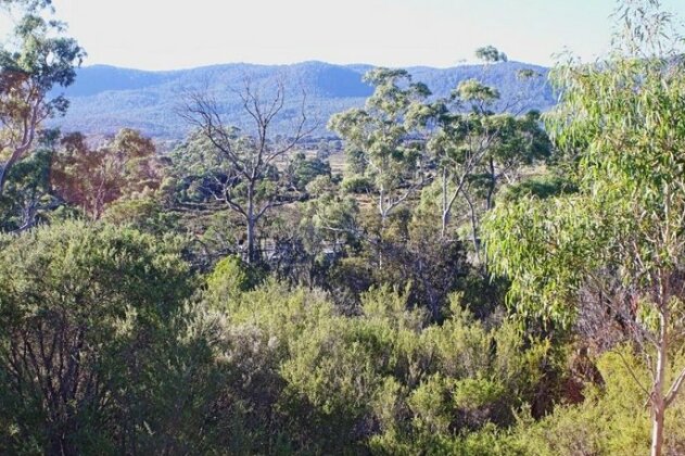 Manuka on Freycinet - Photo4