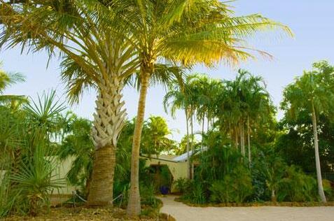 Divers Bell Bed & Breakfast Broome - Photo2