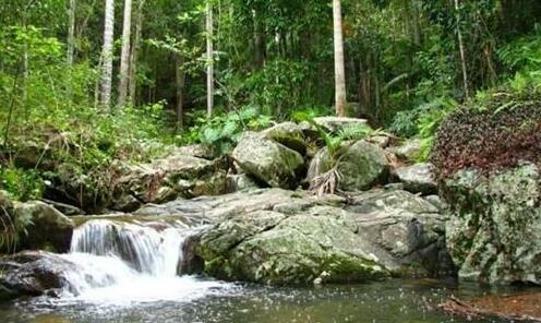 Rainforest Ranch - Photo5