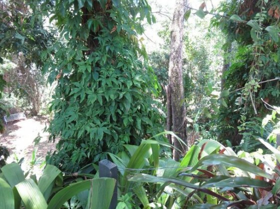 Palm Cove Rainforest Cottage - Photo4