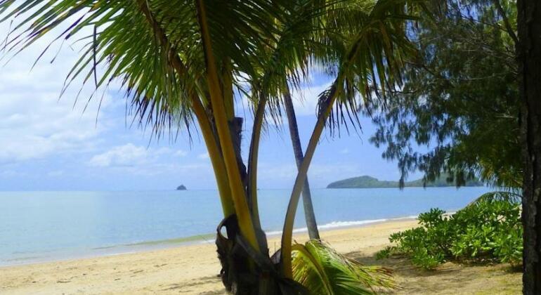 South Pacific Bed & Breakfast - Photo3