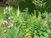 The Gables B&B - Photo2