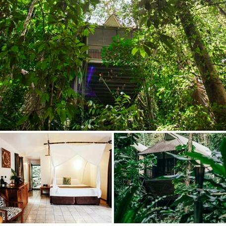Daintree Deep Forest Lodge - Photo4