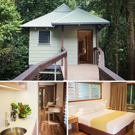 Daintree Deep Forest Lodge - Photo5