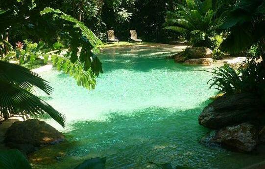 Ferntree Rainforest Lodge - Photo3