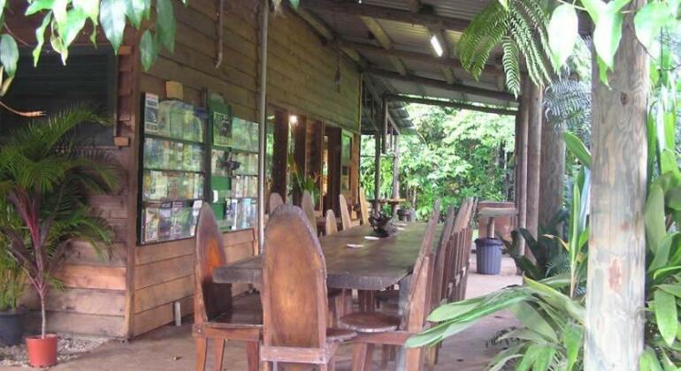 Lync Haven Rainforest Retreat - Photo2