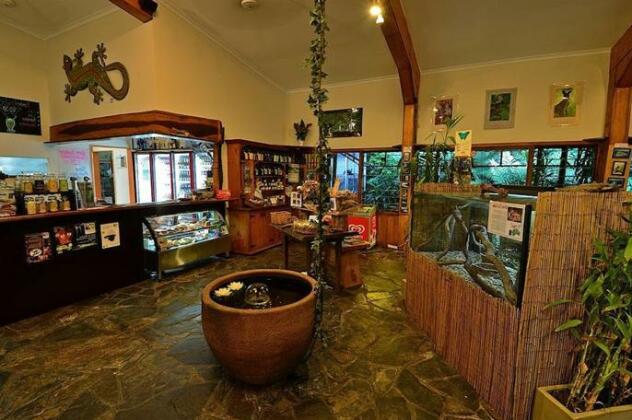 Lync Haven Rainforest Retreat - Photo4