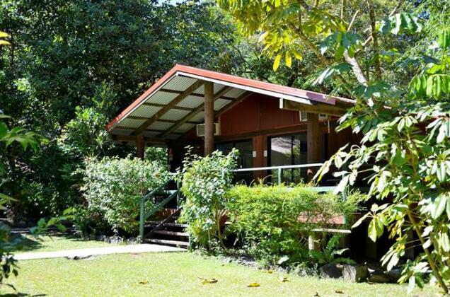 PK's Jungle Village - Photo5