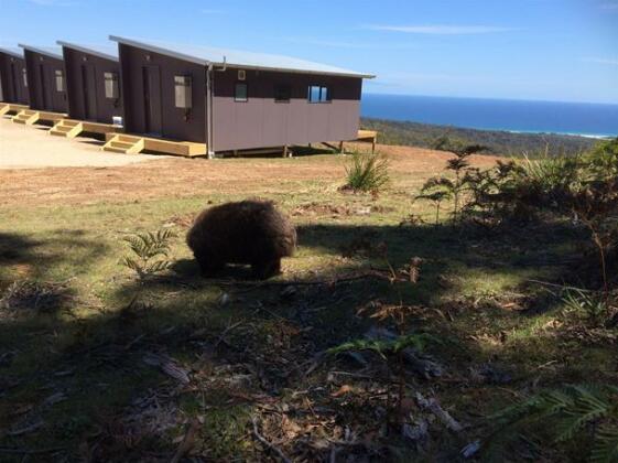 Freycinet Retreat - Photo3