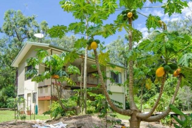 Bellarose Guest House - Photo4