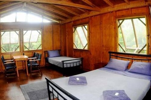 Daintree Rainforest Bungalows - Photo4
