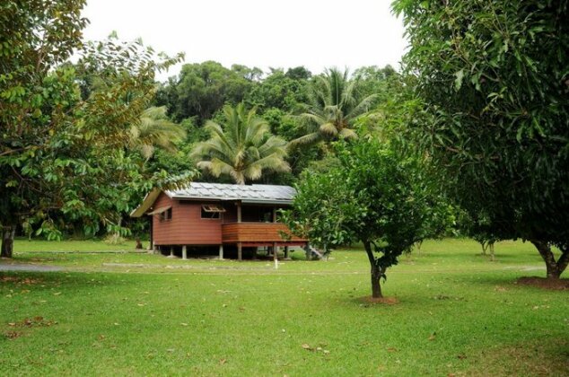 Daintree Rainforest Bungalows - Photo5
