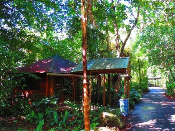 Daintree Rainforest Retreat Motel - Photo2