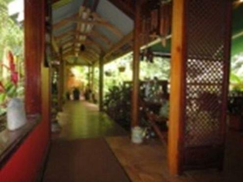 Daintree Rainforest Retreat Motel - Photo4