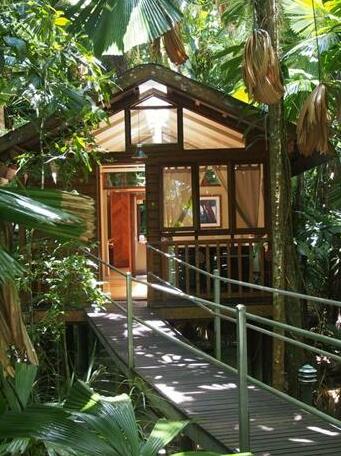 Daintree Wilderness Lodge - Photo2