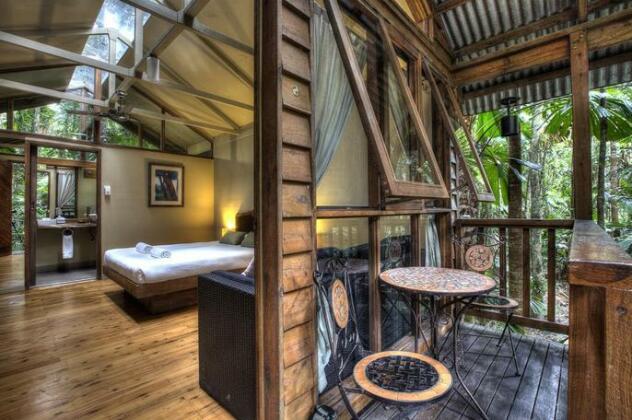 Daintree Wilderness Lodge - Photo3
