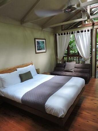 Daintree Wilderness Lodge - Photo4