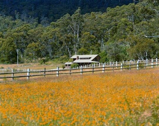 Pender Lea Chalets - Photo2