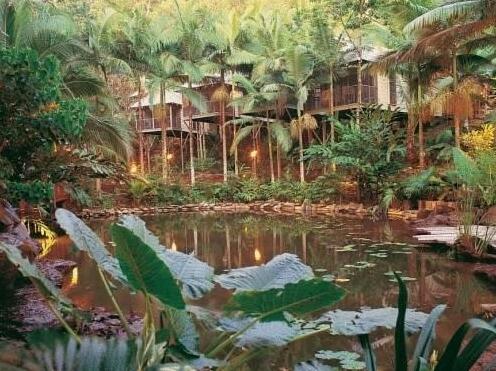Daintree Eco Lodge - Photo5