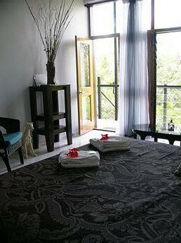 Daintree Wild Bed & Breakfast - Photo4
