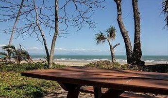 Koala Beach Resort Daintree - Photo3
