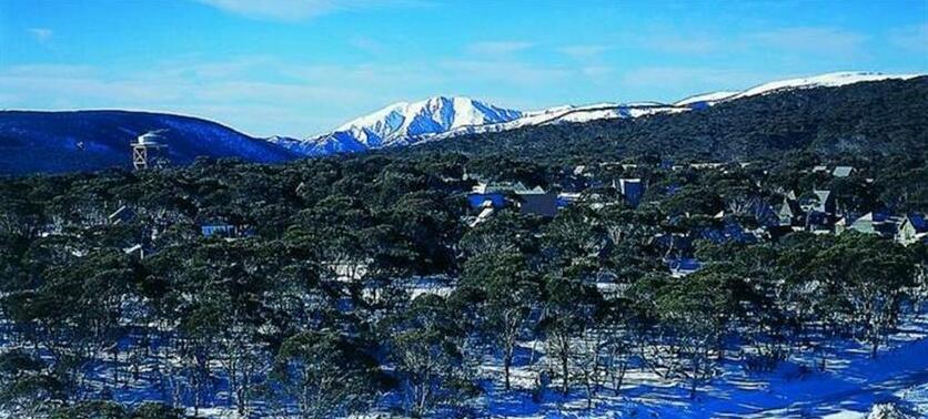 Currawong Lodge - Photo2