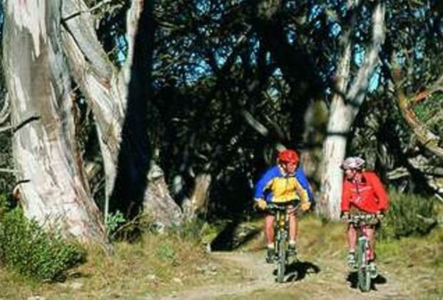 Currawong Lodge - Photo5