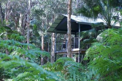 Treehouse Retreat at Diamond Waters