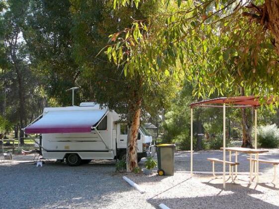 Gladstone Caravan Park - South Australia - Photo2