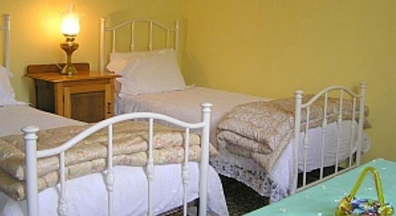 Bendalls Bed and Breakfast - Photo4