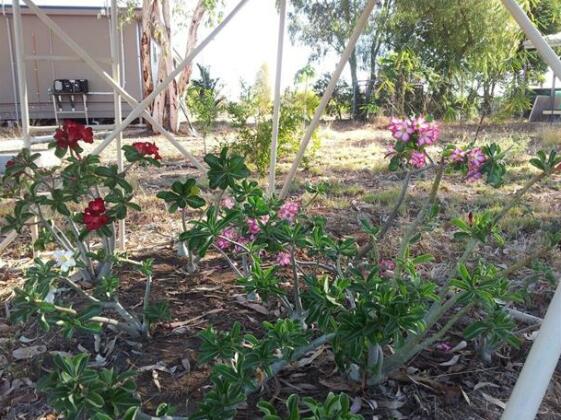 Outback Deli B&B - Photo5