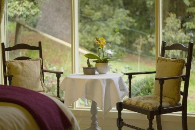 Billy Buttons Bed and Breakfast - Photo5